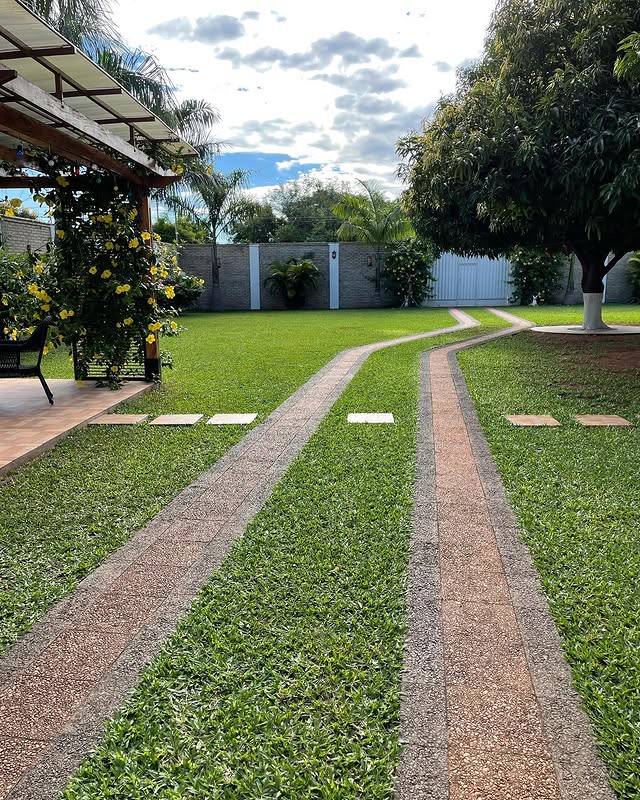 Camino del jardín con palmeras